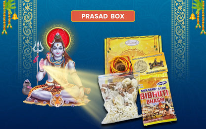 Monday Special: 11,000 Mahamrityunjaya Mantra and Sanjeevani Yagya