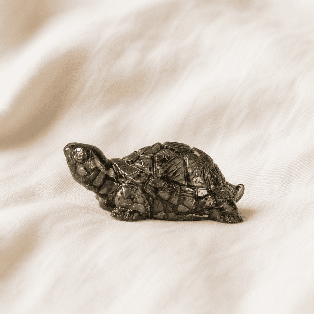 Pyrite Tortoise