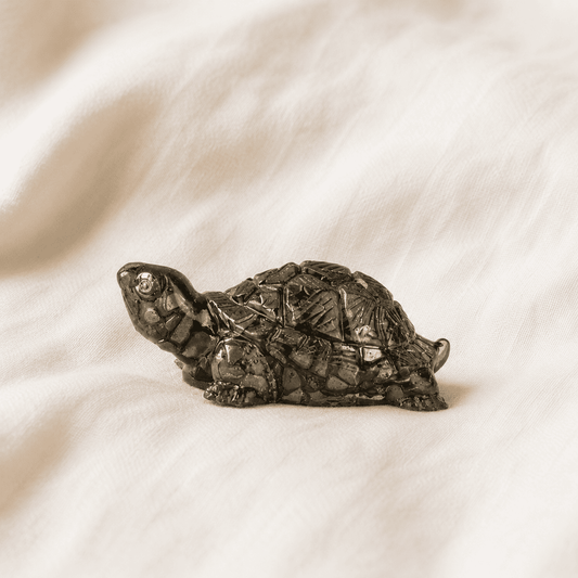Pyrite Tortoise