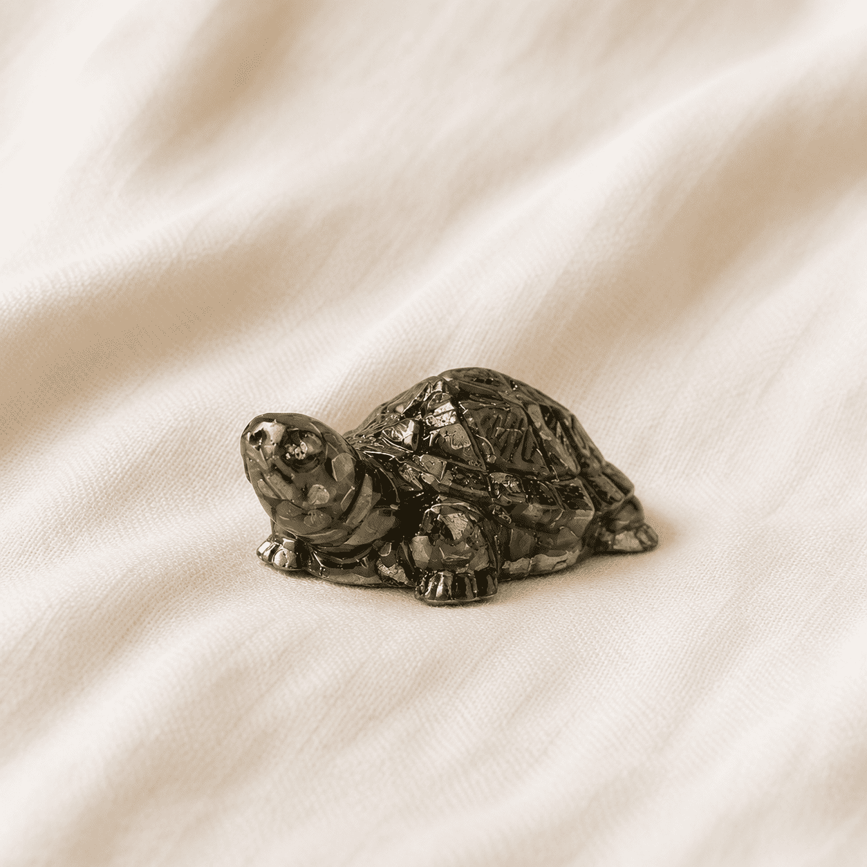 Pyrite Tortoise