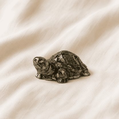 Pyrite Tortoise