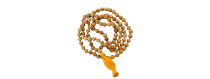 Hanuman Garhi Ayodhya Chadhava